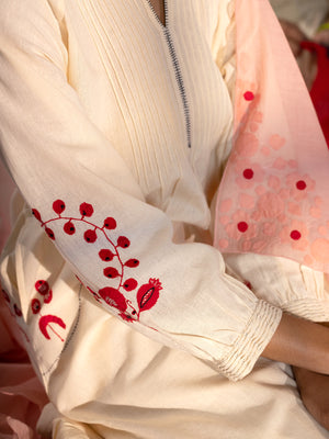 Agal Natural Kurta