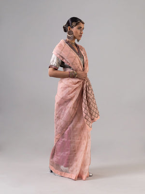 Chowkadi Nude Saree