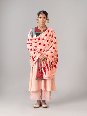 Amritsar Haze/ Red Shawl