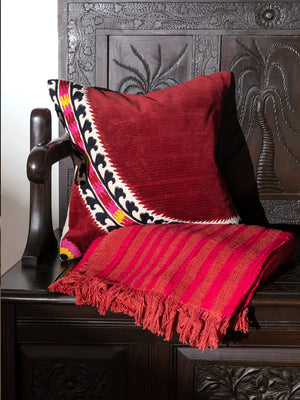 Suzanika Natural Cushion Cover