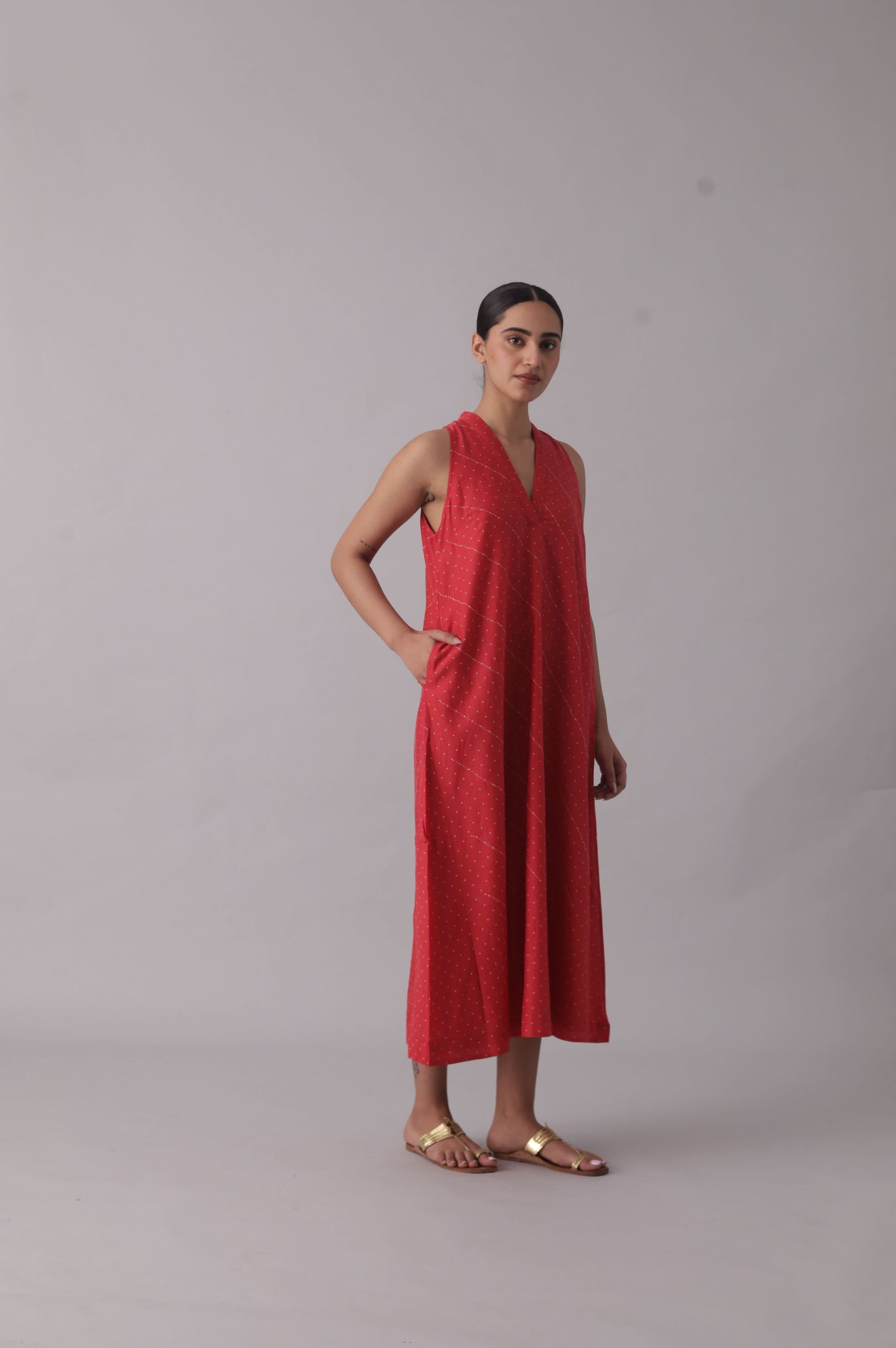 Pinto Dress