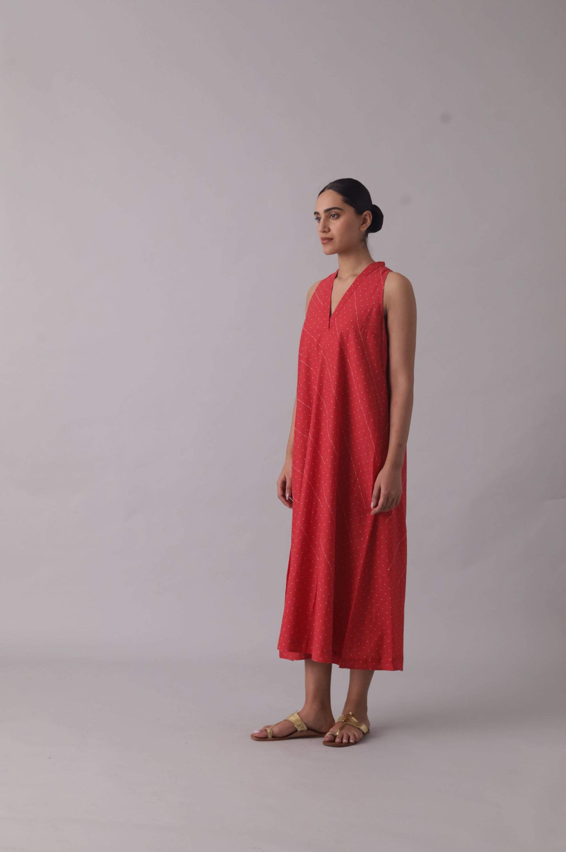 Pinto Dress