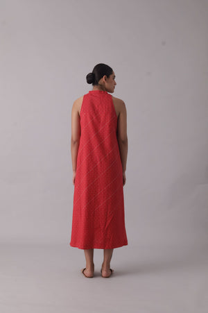Pinto Dress