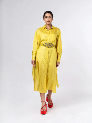 Jewel Shirt Dress