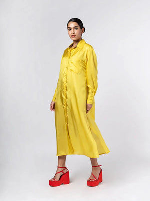 Jewel Shirt Dress