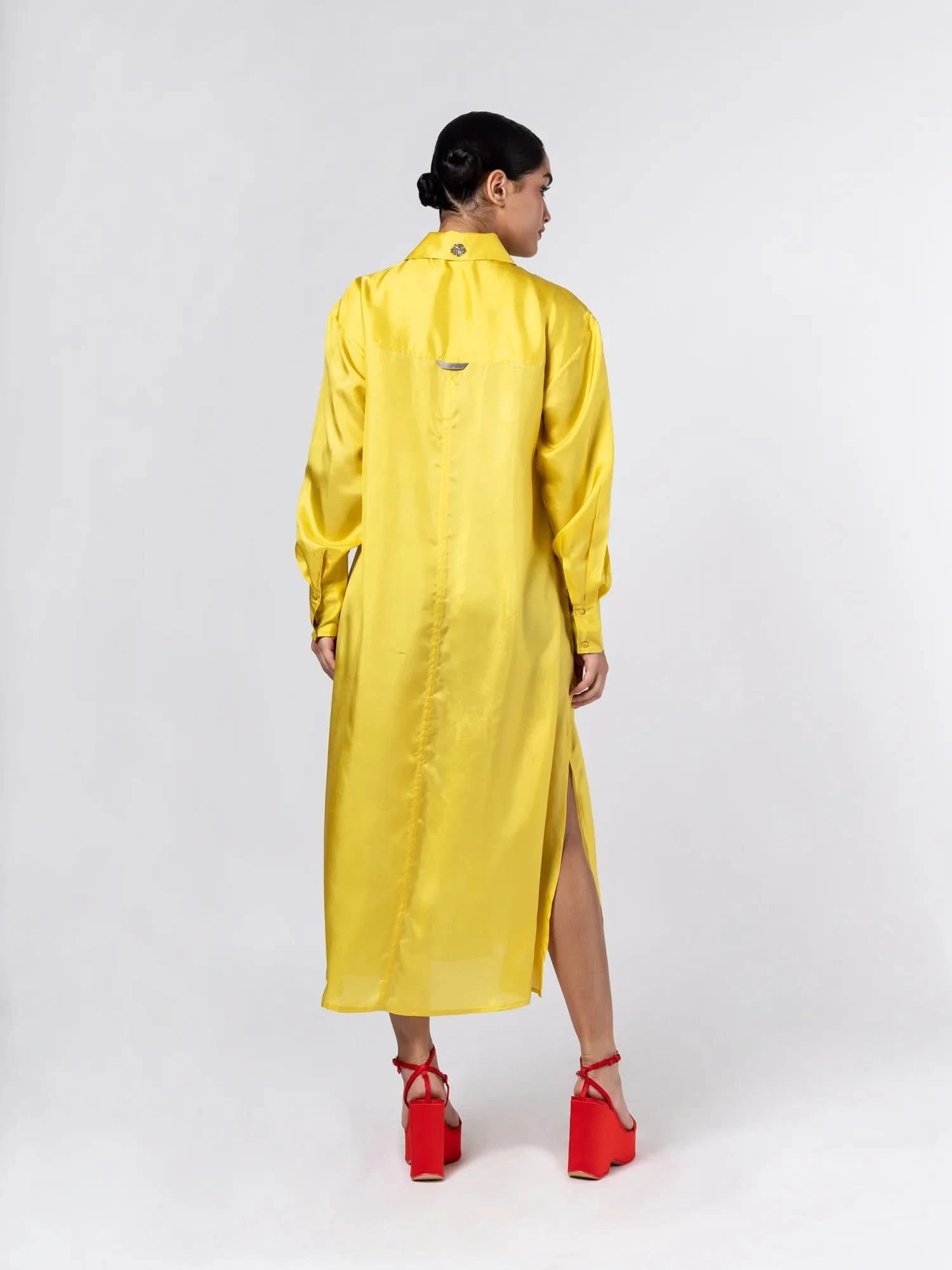 Jewel Shirt Dress