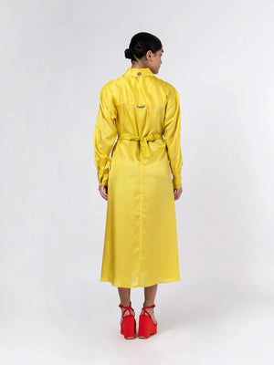 Jewel Shirt Dress